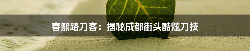 春熙路刀客:揭秘成都街头酷炫刀技