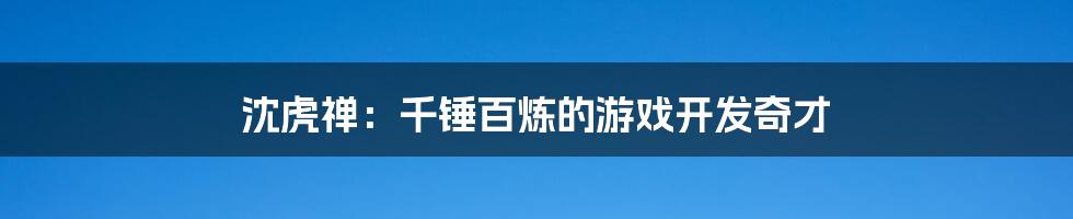 沈虎禅：千锤百炼的游戏开发奇才