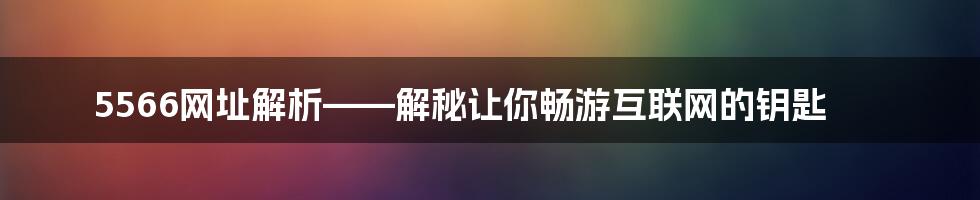 5566网址解析——解秘让你畅游互联网的钥匙