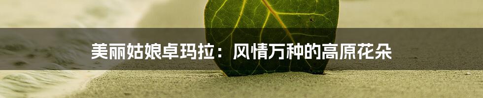 美丽姑娘卓玛拉:风情万种的高原花朵