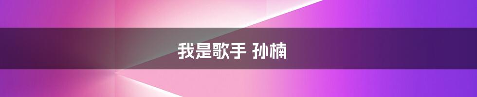 我是歌手 孙楠