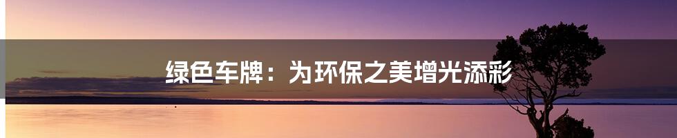 绿色车牌:为环保之美增光添彩