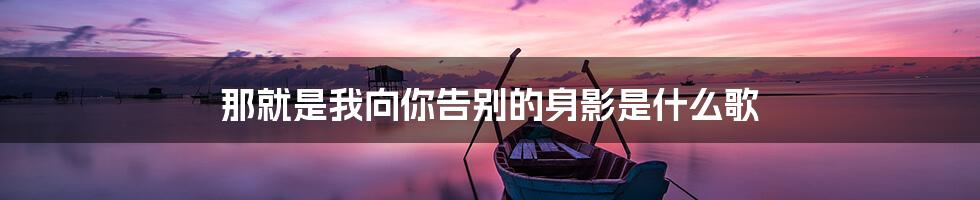 那就是我向你告别的身影是什么歌