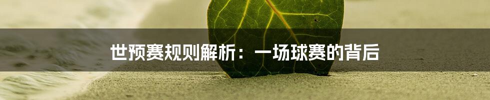 世预赛规则解析：一场球赛的背后