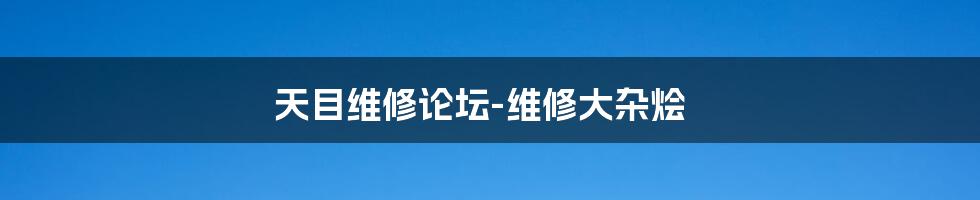 天目维修论坛-维修大杂烩