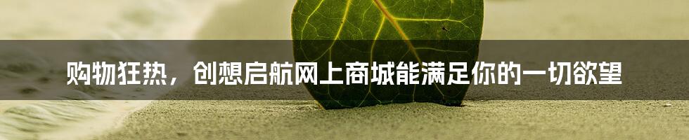 购物狂热,创想启航网上商城能满足你的一切欲望
