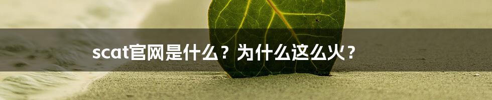scat官网是什么？为什么这么火？