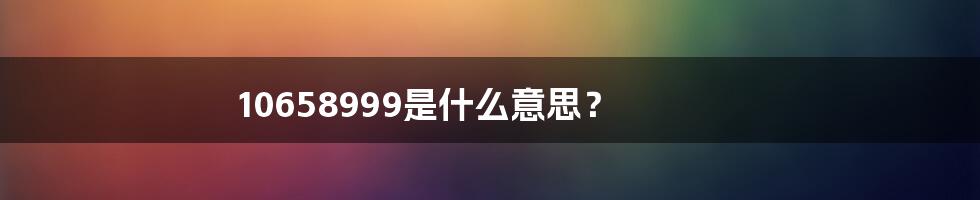 10658999是什么意思?