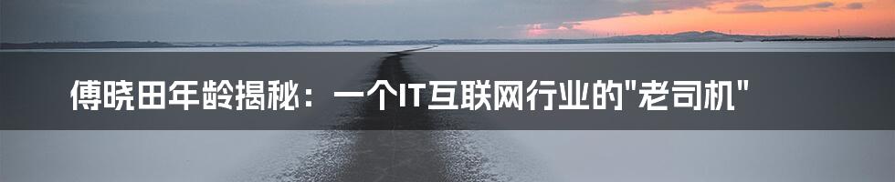 傅晓田年龄揭秘:一个IT互联网行业的"老司机"