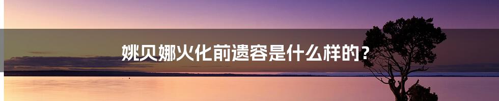 姚贝娜火化前遗容是什么样的?