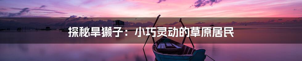 探秘旱獭子:小巧灵动的草原居民