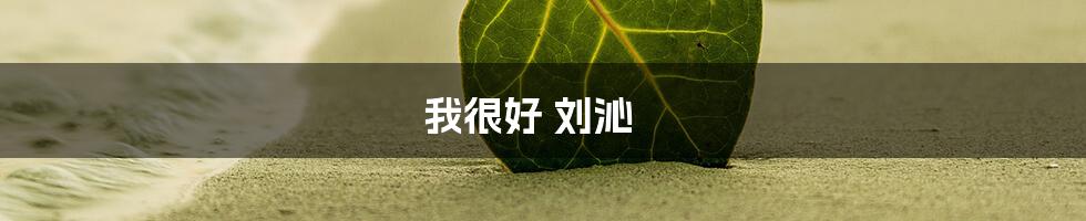我很好 刘沁