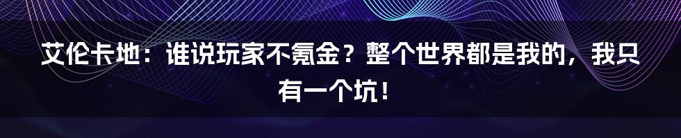 艾伦卡地:谁说玩家不氪金?整个世界都是我的,我只有一个坑!
