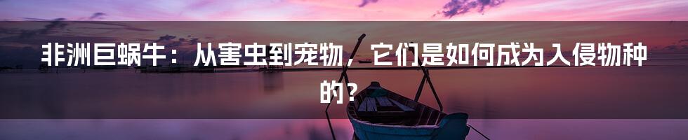 非洲巨蜗牛:从害虫到宠物,它们是如何成为入侵物种的?