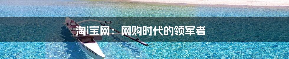 淘i宝网:网购时代的领军者