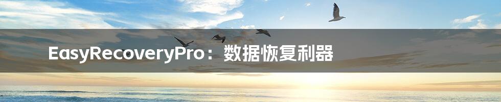 EasyRecoveryPro:数据恢复利器