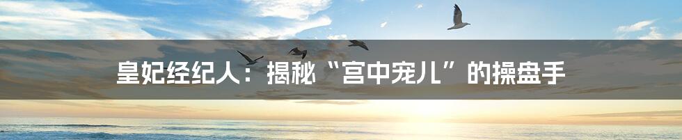 皇妃经纪人:揭秘“宫中宠儿”的操盘手