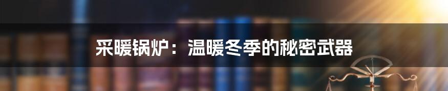 采暖锅炉:温暖冬季的秘密武器