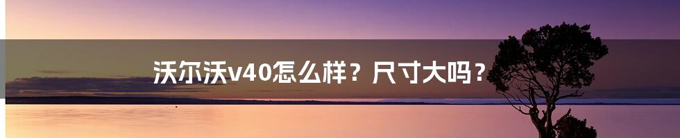 沃尔沃v40怎么样？尺寸大吗？