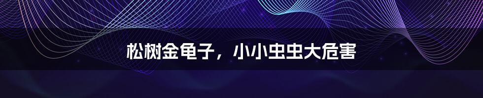 松树金龟子,小小虫虫大危害