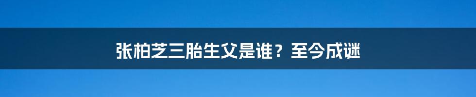 张柏芝三胎生父是谁?至今成谜