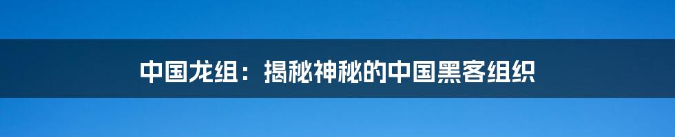 中国龙组:揭秘神秘的中国黑客组织