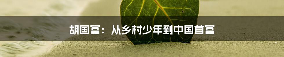 胡国富:从乡村少年到中国首富