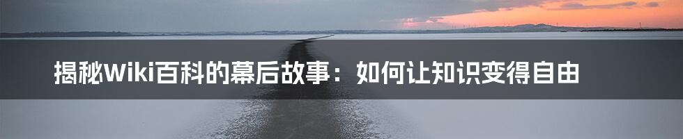 揭秘Wiki百科的幕后故事:如何让知识变得自由