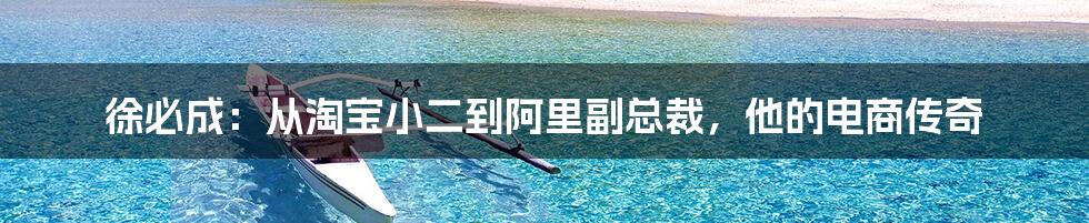 徐必成:从淘宝小二到阿里副总裁,他的电商传奇