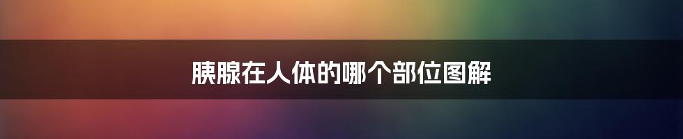 胰腺在人体的哪个部位图解