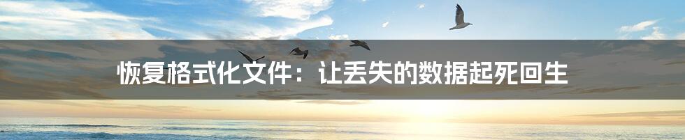 恢复格式化文件:让丢失的数据起死回生