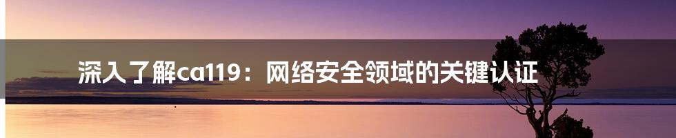 深入了解ca119：网络安全领域的关键认证