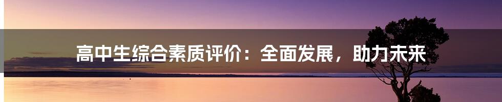高中生综合素质评价：全面发展，助力未来