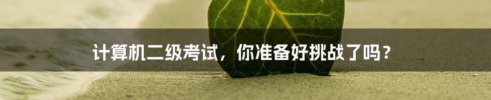 计算机二级考试,你准备好挑战了吗?