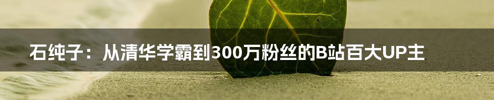 石纯子:从清华学霸到300万粉丝的B站百大UP主