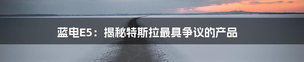 蓝电E5:揭秘特斯拉最具争议的产品