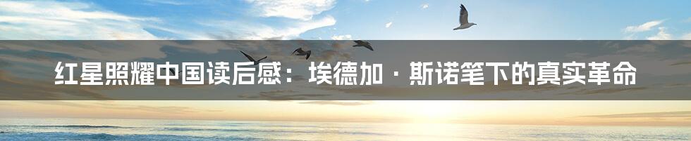 红星照耀中国读后感:埃德加·斯诺笔下的真实革命