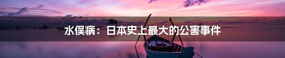 水俣病:日本史上最大的公害事件