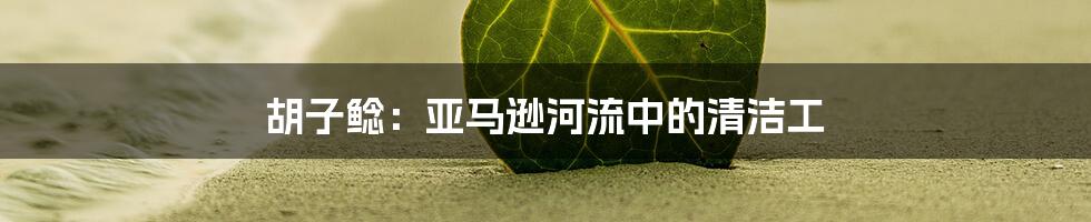 胡子鲶:亚马逊河流中的清洁工