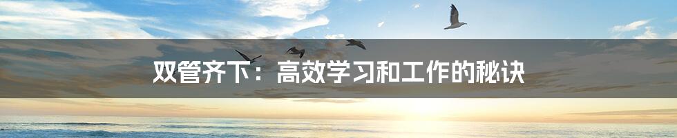 双管齐下:高效学习和工作的秘诀