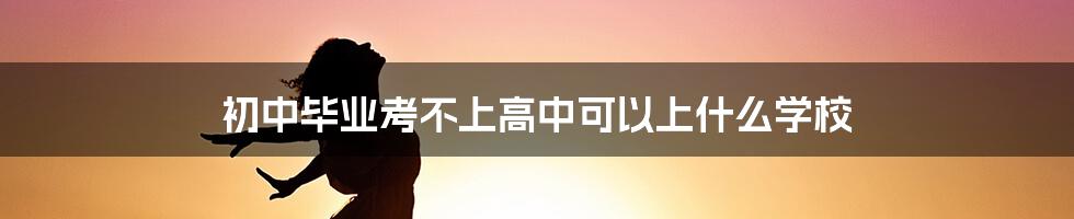 初中毕业考不上高中可以上什么学校