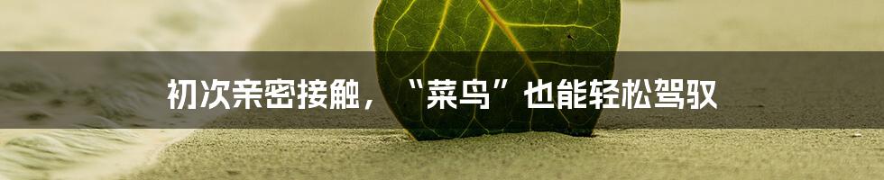初次亲密接触,“菜鸟”也能轻松驾驭