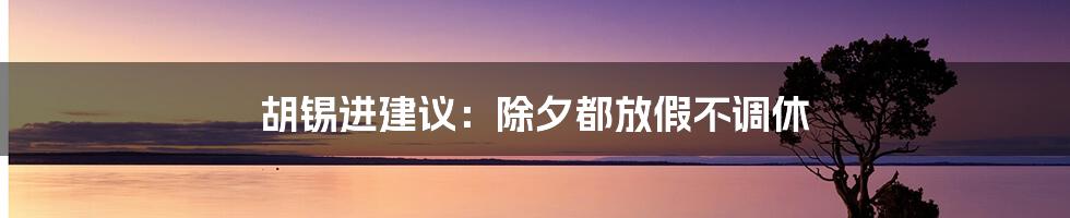 胡锡进建议:除夕都放假不调休