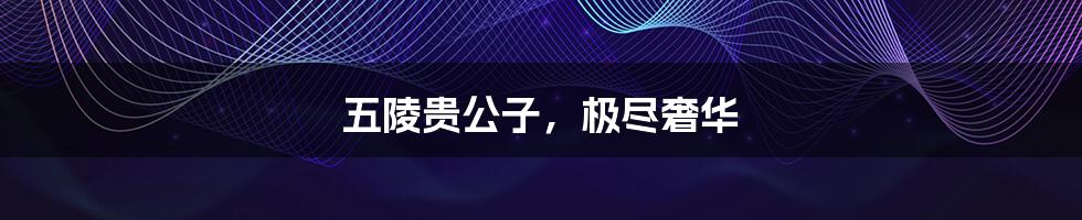 五陵贵公子,极尽奢华