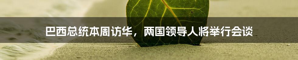 巴西总统本周访华,两国领导人将举行会谈