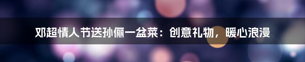 邓超情人节送孙俪一盆菜:创意礼物,暖心浪漫