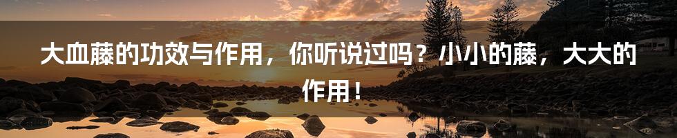 大血藤的功效与作用,你听说过吗?小小的藤,大大的作用!