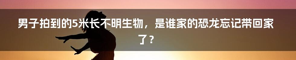 男子拍到的5米长不明生物,是谁家的恐龙忘记带回家了?