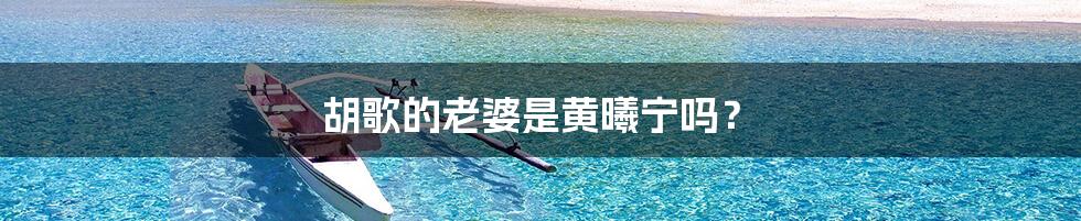 胡歌的老婆是黄曦宁吗?