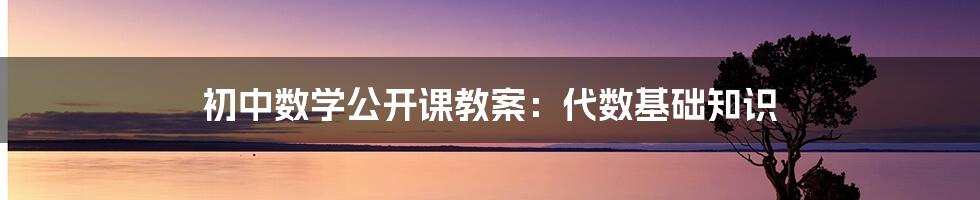 初中数学公开课教案:代数基础知识